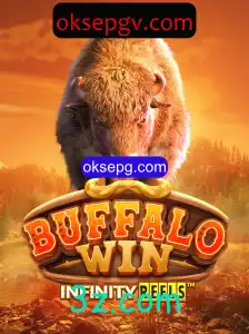 Explorando o Universo de BuffaloWin